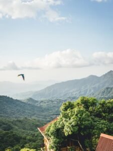 Minca en las montañas de la sierra nevada