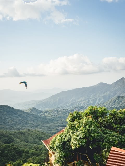 Minca en las montañas de la sierra nevada